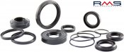 Oil seal kit RMS 100641060