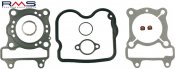 Engine TOP END gaskets RMS 100689090