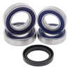 Wheel Bearing Kit All Balls Racing WB25-1707