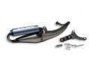 exhaust system Malossi 3216694