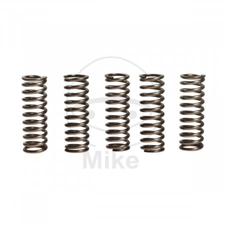 Clutch spring kit EBC 5 za APRILIA Pegaso 650 Strada (2005-2010)