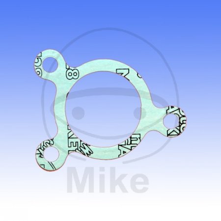 Clutch cylinder gasket ATHENA za BMW K 1200 RS (1997-2005)