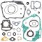 Complete Gasket Kit with Oil Seals WINDEROSA