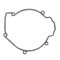 Ignition cover gasket WINDEROSA