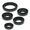 Engine Oil Seal Kit WINDEROSA