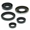 Engine Oil Seal Kit WINDEROSA