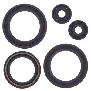 Engine Oil Seal Kit WINDEROSA