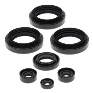 Engine Oil Seal Kit WINDEROSA