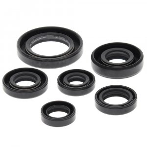 Engine Oil Seal Kit WINDEROSA