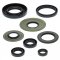 Engine Oil Seal Kit WINDEROSA