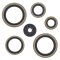 Engine Oil Seal Kit WINDEROSA