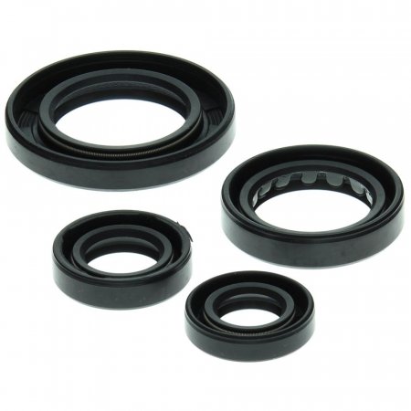 Engine Oil Seal Kit WINDEROSA za ATV HONDA TRX 250 Recon (1997-2001)