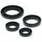 Engine Oil Seal Kit WINDEROSA