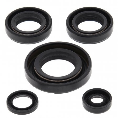 Engine Oil Seal Kit WINDEROSA za ATV KAWASAKI KFX 50 (2003-2006)