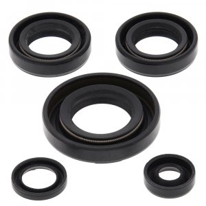 Engine Oil Seal Kit WINDEROSA