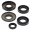 Engine Oil Seal Kit WINDEROSA