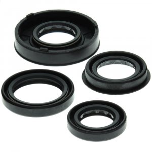 Engine Oil Seal Kit WINDEROSA