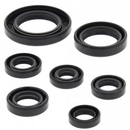 Engine Oil Seal Kit WINDEROSA za ATV HONDA TRX 250 Recon (2002-2015)