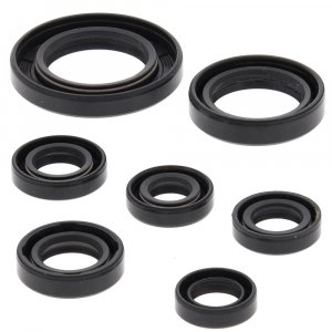 Engine Oil Seal Kit WINDEROSA