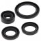 Engine Oil Seal Kit WINDEROSA