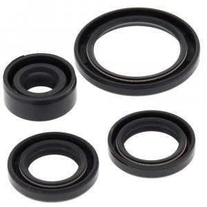 Engine Oil Seal Kit WINDEROSA