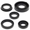 Engine Oil Seal Kit WINDEROSA