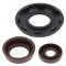 Engine Oil Seal Kit WINDEROSA