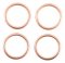 Exhaust gasket kit WINDEROSA