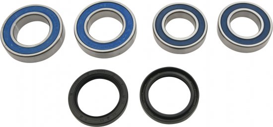 Wheel Bearing Kit All Balls Racing WB25-1809 zadaj