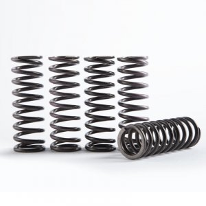 Hi-Temp Clutch Spring Kit HINSON (set of 5)