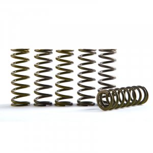 Clutch spring kit HINSON bela (set of 6)