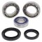 Differential Seal Only Kit All Balls Racing