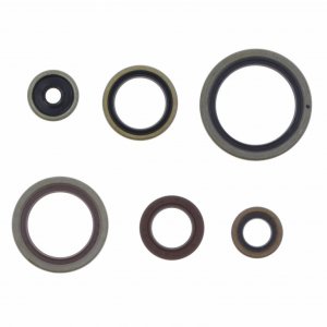 Set tesnil motorja za olje (Engine Oil Seals Kit) ATHENA