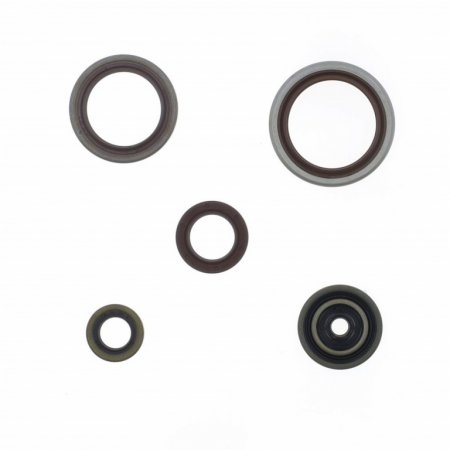 Engine Oil Seals Kit ATHENA za BETA Xtrainer 300 (2017-2022)