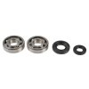 Ležaji in tesnila za glavno gred (Crankshaft rebuilding kit) ATHENA P400485444038 (bearing and oil seal kit)