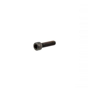 Hexagonal socket head screw RMS